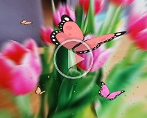 Blumenparadies